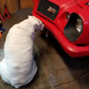 Meet your Posher, Andrew